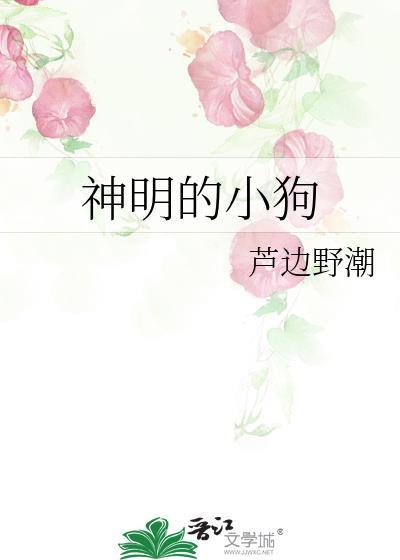 神明的宠儿全文免费阅读