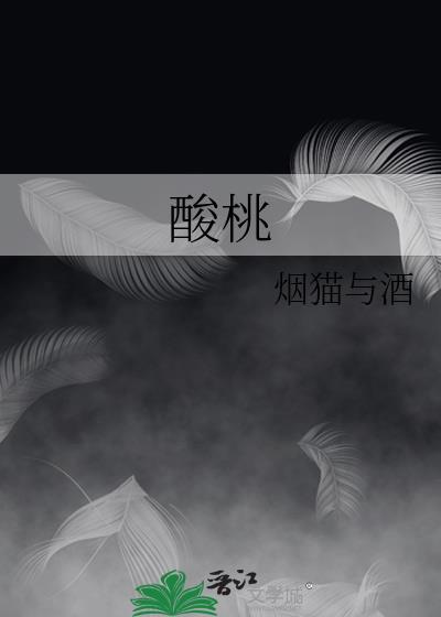 酸桃核手串