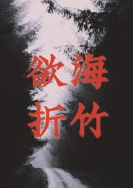 欲海回狂简介