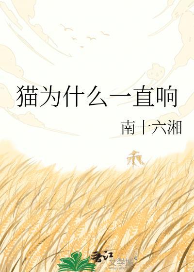 猫咪为啥会一直叫