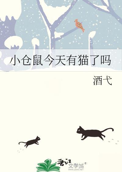 仓鼠小七