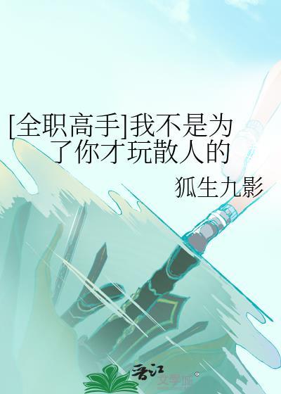 全职高手这不是一个人的游戏