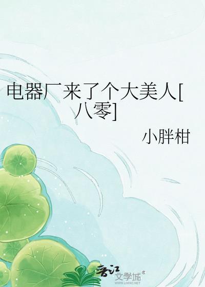 电器厂来了个大美人[八零