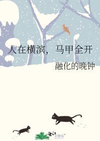 综我在横滨开马甲