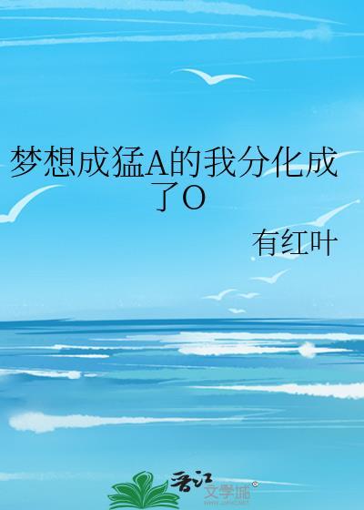 梦想成np
