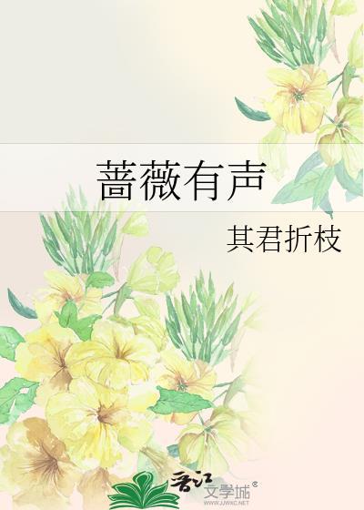 蔷薇txt