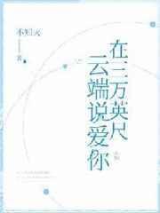 三万英尺抵达你的爱