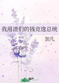 我用渣们的钱竞选总统 加凡