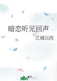 暗恋听见回声txt