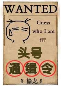 头号通缉令无限流