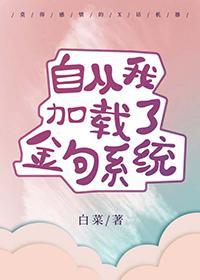 自从我加载了金句系统作者白菜
