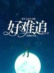 重生之这个大佬好难追 晋江