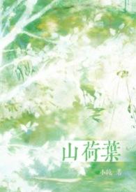 山荷叶花生长在哪里