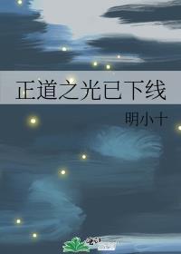 正道之光是哪部电影的主题曲