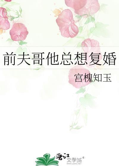 前夫哥他总想复婚by宫槐知玉