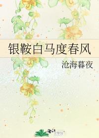 银鞍白马度春风txt资源