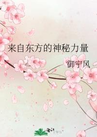 来自东方的神秘力量御宁风