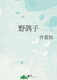 野鸽子和斑鸠的区别