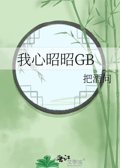 我心昭昭GB 橘味汁