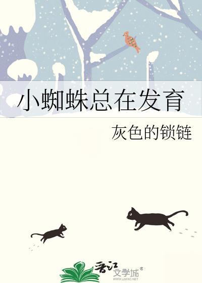 小蜘蛛多怎么办