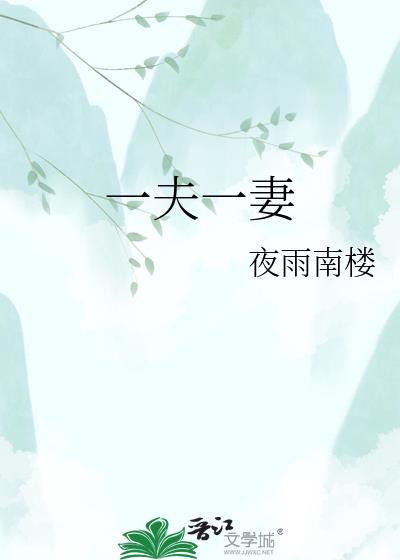 一夫一妻是什么意思