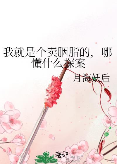 哪懂什么探案