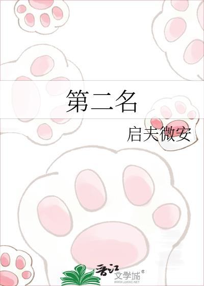 第二名的逆袭第三部