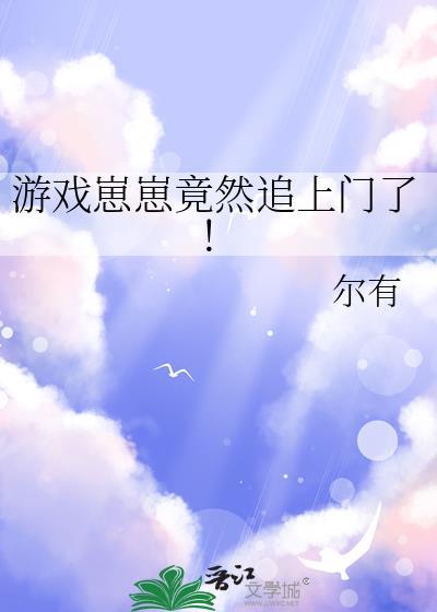 崽崽是什么游戏