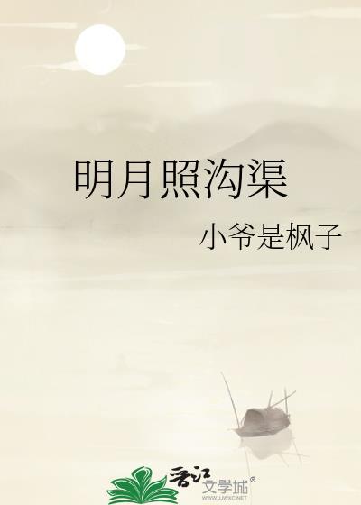 明月照沟渠的沟渠是什么意思