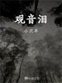 观音泪简介