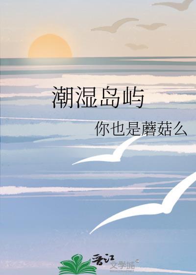 潮湿岛屿TXT