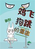 鸡飞狗跳np