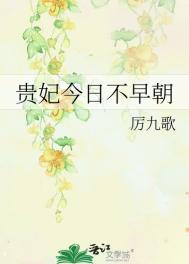 贵妃今日依旧盛宠
