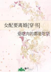 女配要离婚穿书周沫