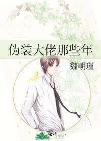 伪装大佬那些年番外txt