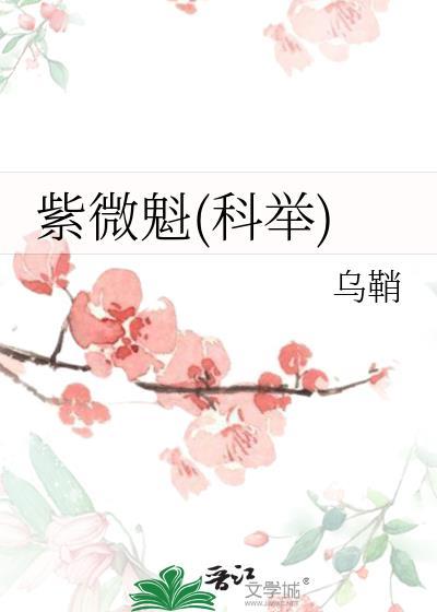 紫微魁(科举)乌鞘txt