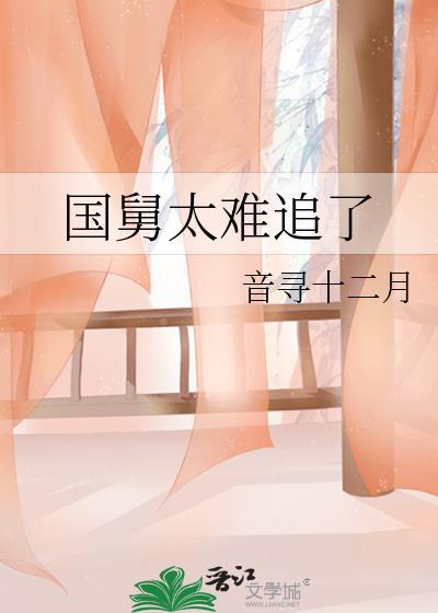 国舅太难追了大结局