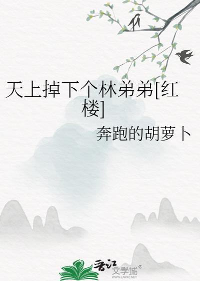 天上掉下个林叔叔(红楼)