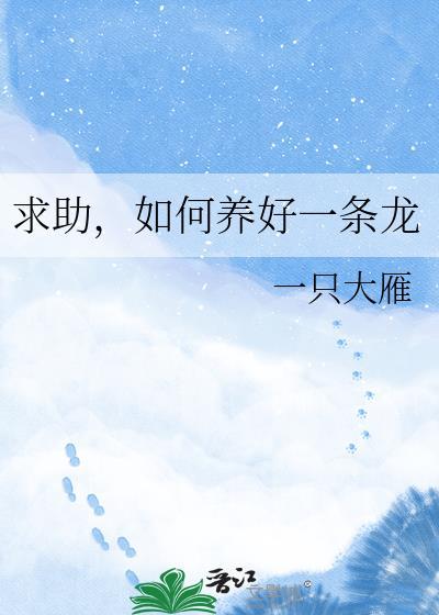 养龙鱼的方法
