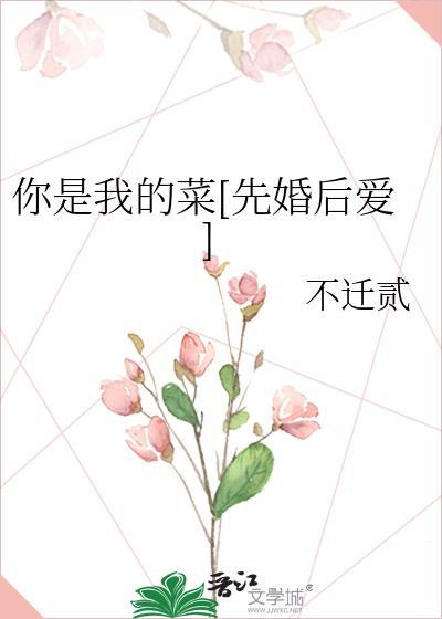 电视剧你是我的菜
