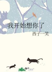 歌词我开始想你