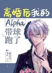 离婚后我的Alpha带球跑了 林不川