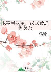 汉武卫霍