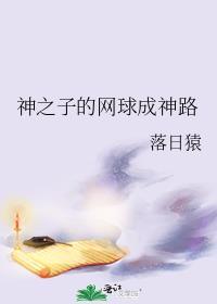 网王之神之子成神