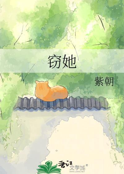 窃她电视剧免费观看完整版