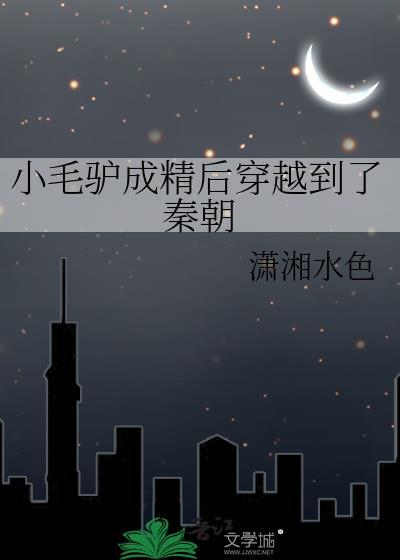小毛驴区