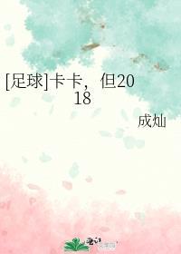 足球卡卡精彩过人视频
