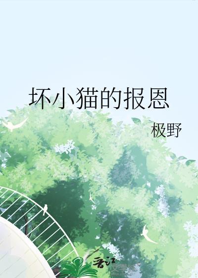 坏猫的动画片叫什么