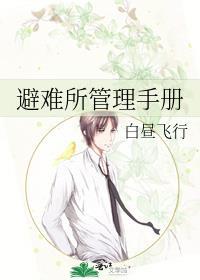 避难所v0.22攻略