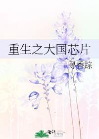 重生之大国芯片百度